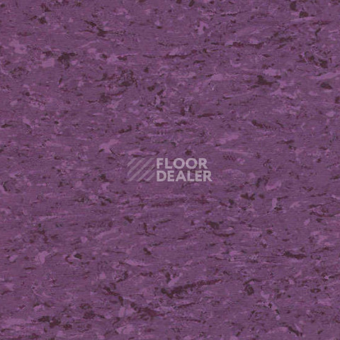 Линолеум Gerflor Mipolam Accord 0348 AURORA фото 1 | FLOORDEALER